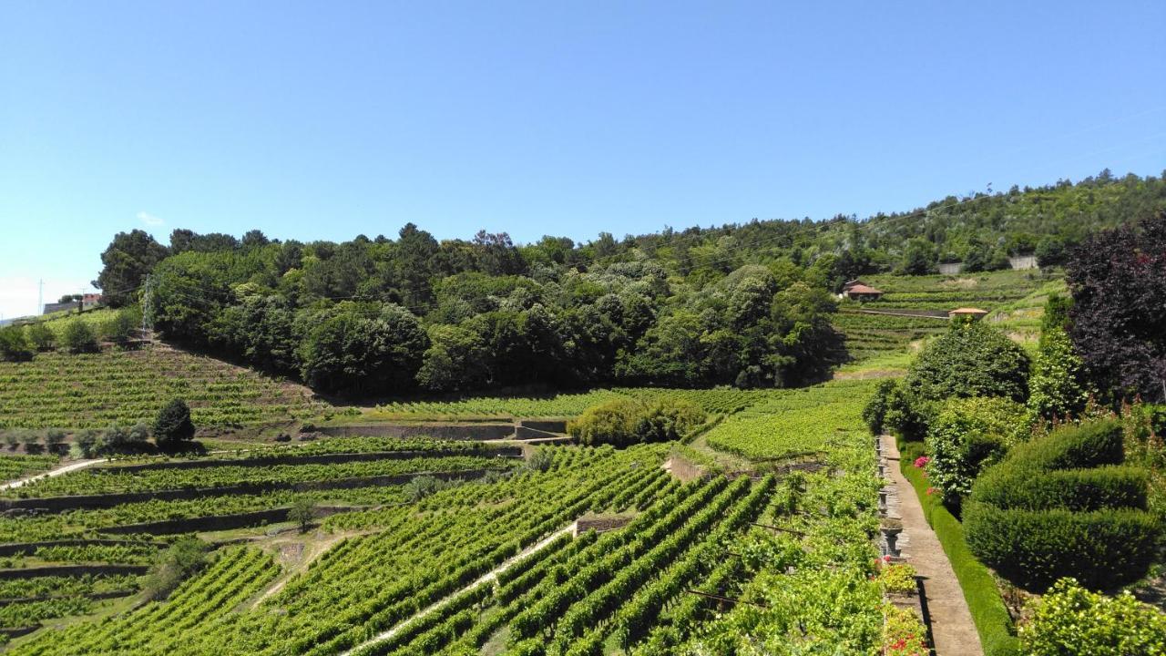 הוילה פסו דה רגואה Quinta De Santa Julia מראה חיצוני תמונה