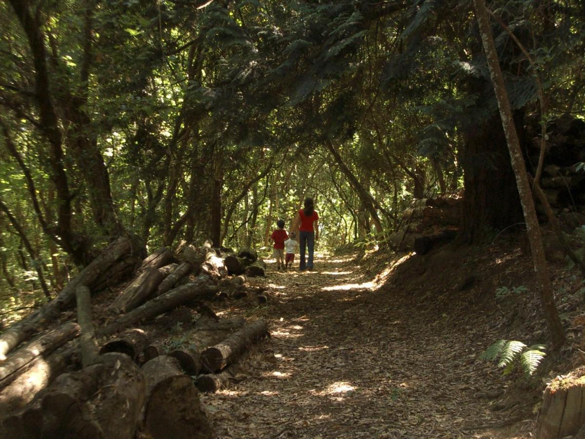 הוילה פסו דה רגואה Quinta De Santa Julia מראה חיצוני תמונה