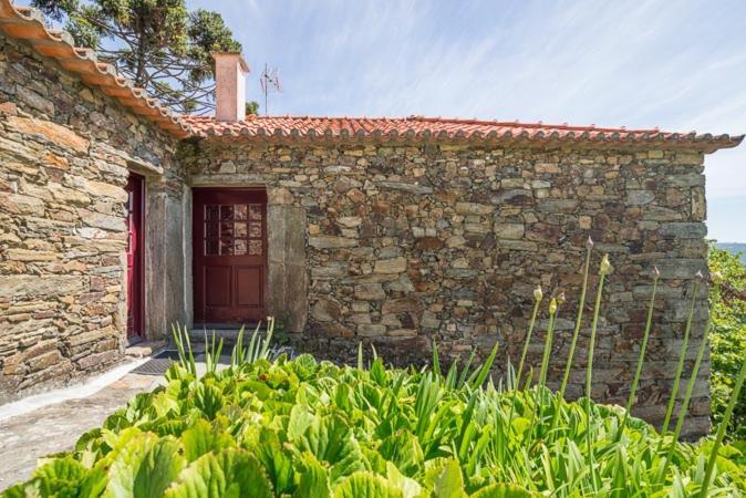 הוילה פסו דה רגואה Quinta De Santa Julia מראה חיצוני תמונה